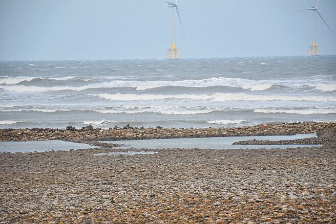 有200年歷史的苗栗县后龙镇外埔沿岸合欢石沪出现百米宽倾倒毁损。（谢明俊摄）