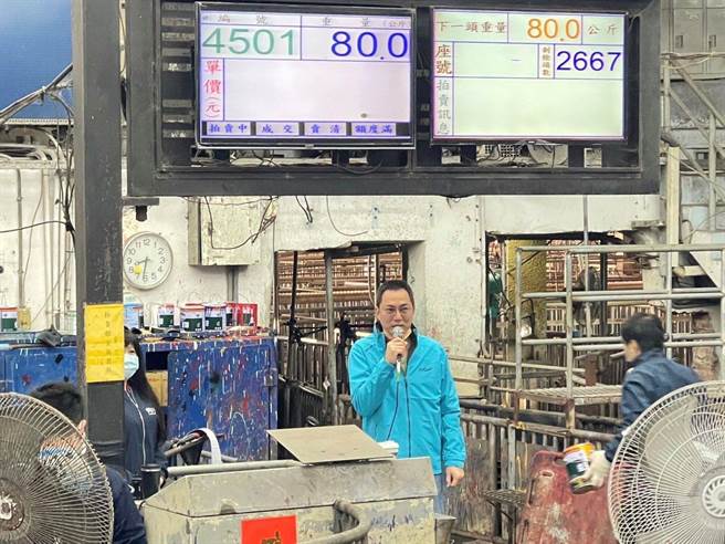 新春云林县肉品市场毛猪开红盘，每公斤约83元价格平稳。（云林县肉品市场提供／张朝欣云林传真）