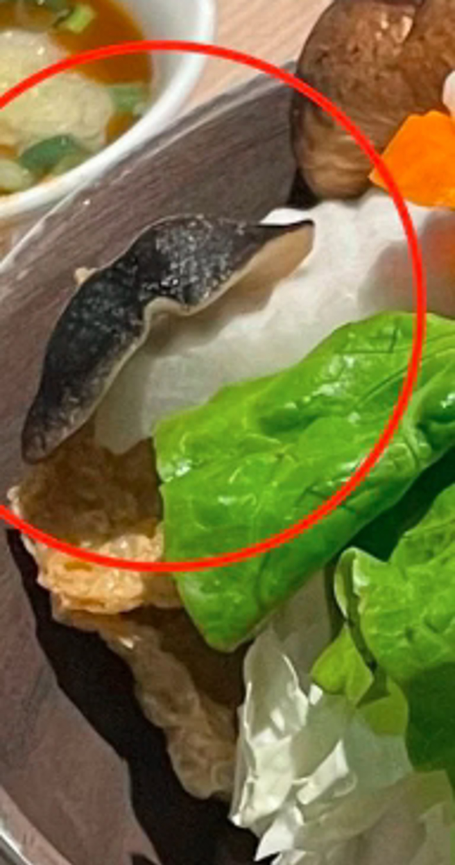 火锅店菜盘出现大蛞蝓，吓歪眾人。（图／翻摄自Dcard）