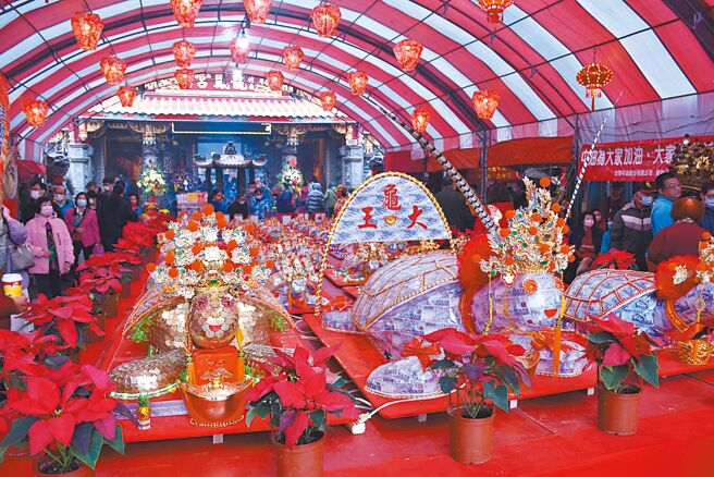 苗栗縣竹南鎮龍鳳宮春節乞龜活動，價值120萬元的大金龜王亮相。（謝明俊攝）