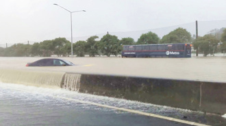 影》紐西蘭暴雨「水深及胸」！奧克蘭狂淹進入緊急狀態 機場淪泳池