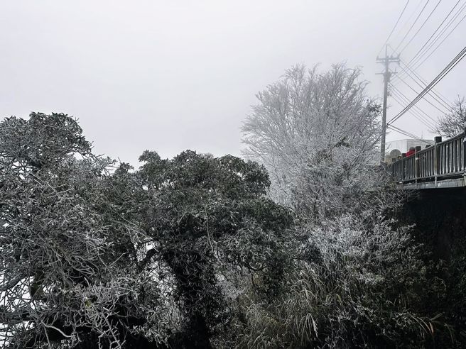 新竹尖石再度下雪，超美照片曝光。（图／绿木头咖啡馆提供）