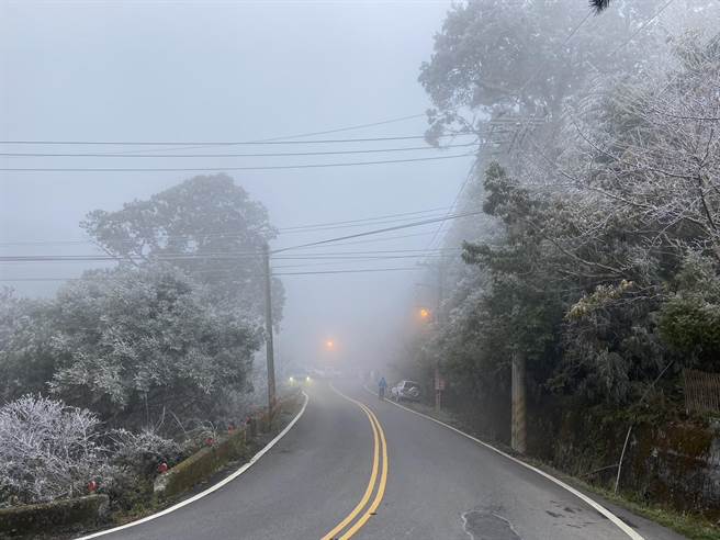 受寒流冷氣團影響，新竹縣山區出現霧淞美景。（民眾提供／邱立雅竹縣傳真）