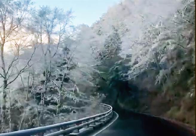 南横向阳山区今天清晨降冰霰，成了一片银白世界。（民眾提供）