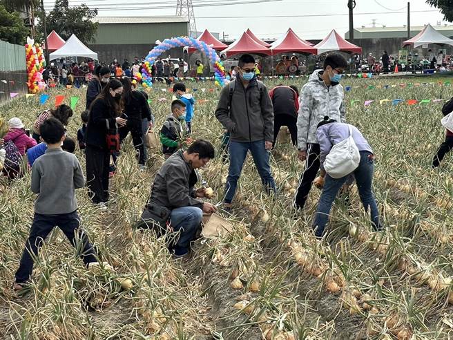 林园洋葱节。（翻摄照片／高雄洪靖宜传真）