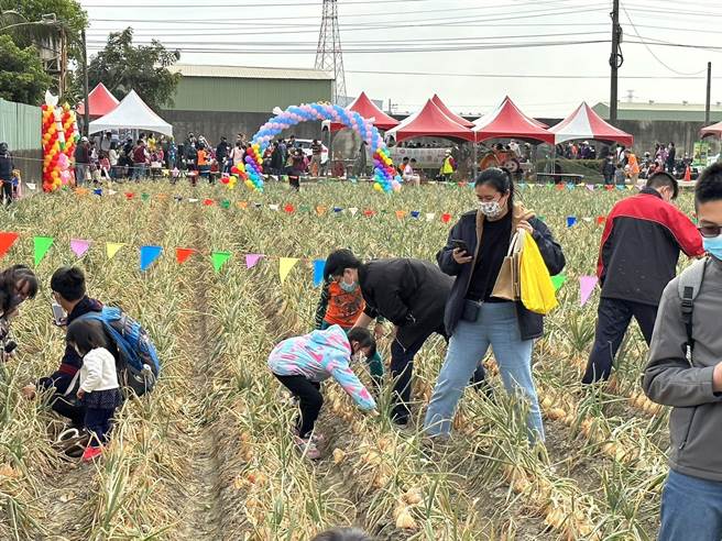 林园洋葱节。（翻摄照片／高雄洪靖宜传真）