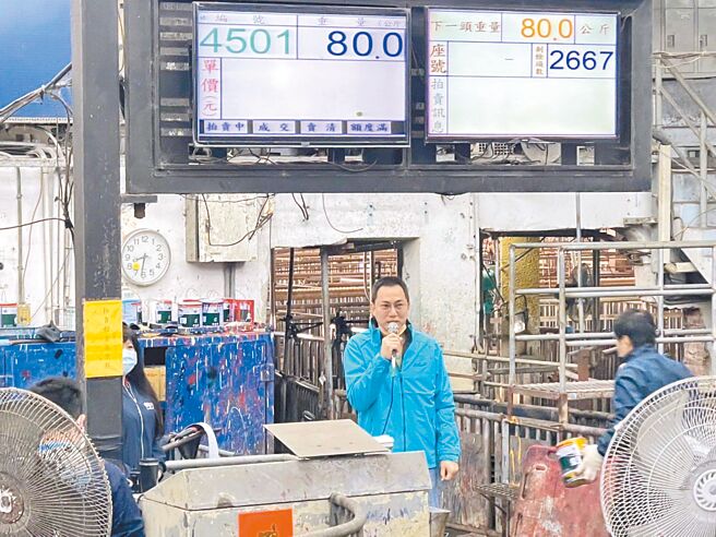 新春雲林縣肉品市場毛豬開紅盤，每公斤約83元價格平穩。（雲林縣肉品市場提供／張朝欣雲林傳真）
