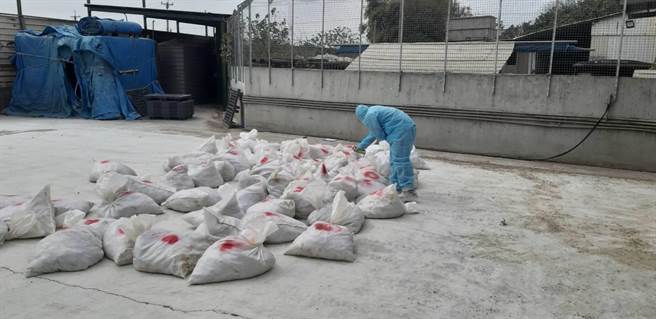 董孟治強調，呼籲養禽業者務必依「H5、H7亞型家禽流行性感冒防治措施」落實各項生物安全防疫工作，若被查有不符防治措施者，依法最高可裁處新臺幣15萬元並限期改善。(彰化縣政府提供／吳建輝彰化傳真)