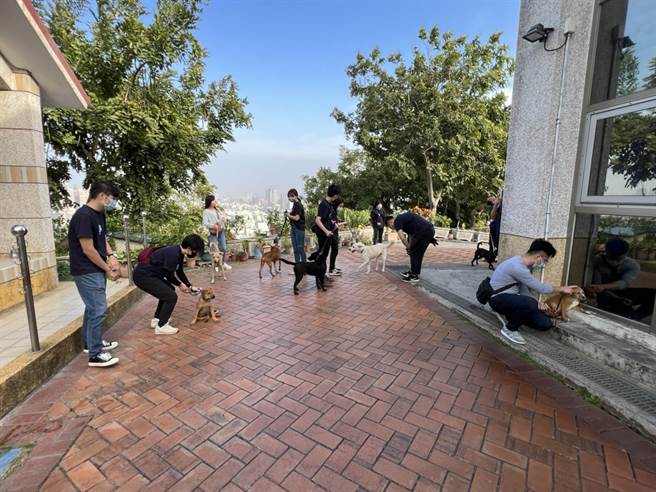 送别心爱的宠物，是毛孩爸妈最后的课题，随着对宠物后事办理意识抬头，高雄市某宠物生命纪念业者日前率全体员工到高雄市寿山动物保护教育园区参访及公益服务，盼透过园区同仁的导览过程领悟「饲主责任」的重要性，了解原来收容所不只收容流浪动物，更是深切体验生命教育的场域。(高雄市动保处提供／林雅惠传真)