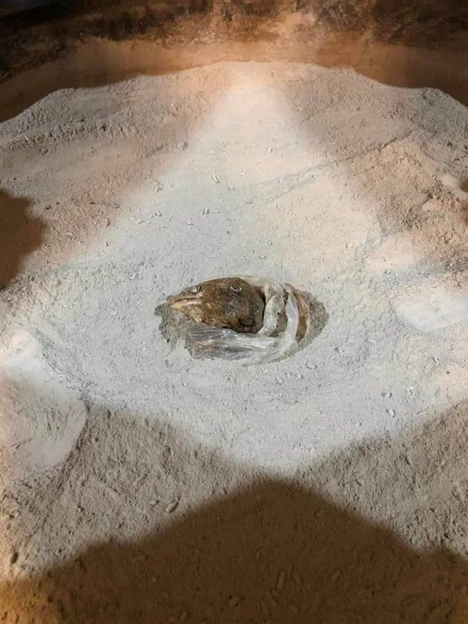 台中市北区「北臺中城隍庙」29日凌晨于脸书po表示，庙方清理庙宇中天公炉时，发现香炉显有异状，在香炉深处发现塑胶袋包装的异物，将塑胶袋打开一看，里面竟装着「生鸡头」。（取自脸书粉专「北臺中城隍庙」）