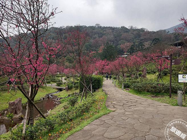 2023 阳明公园花况照片(图：臺北市政府工务局公园处提供)