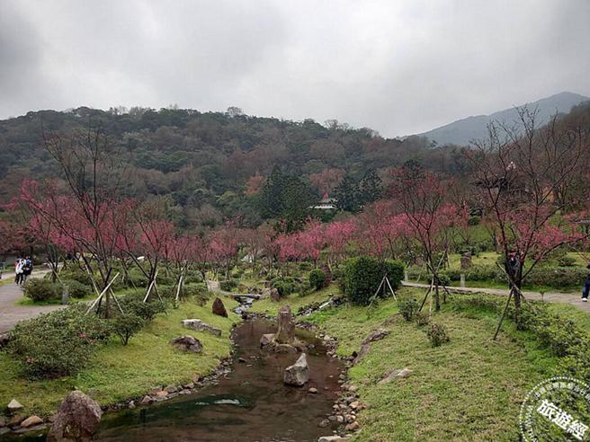 2023 阳明公园花况照片(图：臺北市政府工务局公园处提供)