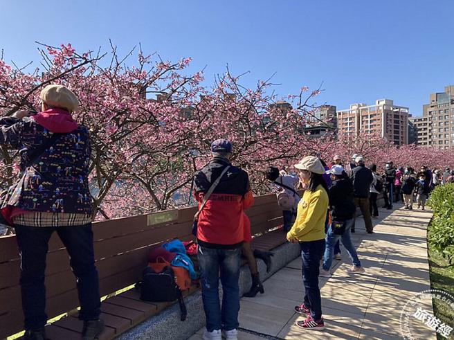 2023 乐活公园花况照片(图：臺北市政府工务局公园处提供)