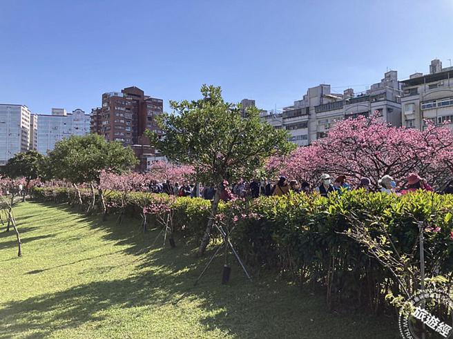 2023 乐活公园花况照片(图：臺北市政府工务局公园处提供)