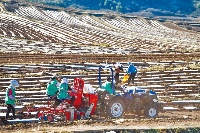 貴州農民在脫貧攻堅政策下轉變耕作方式，機械化播種馬鈴薯。（新華社）