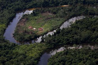 德國宣布捐贈2億歐元  推動巴西環保行動