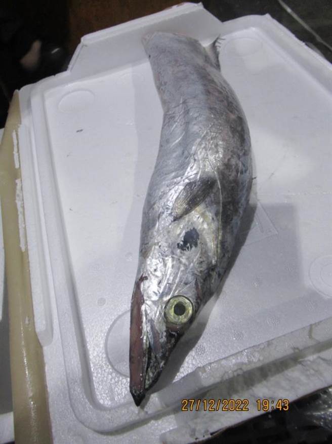 來自北海道的白帶魚被驗出國內禁用藥物孔雀綠。（食藥署提供）