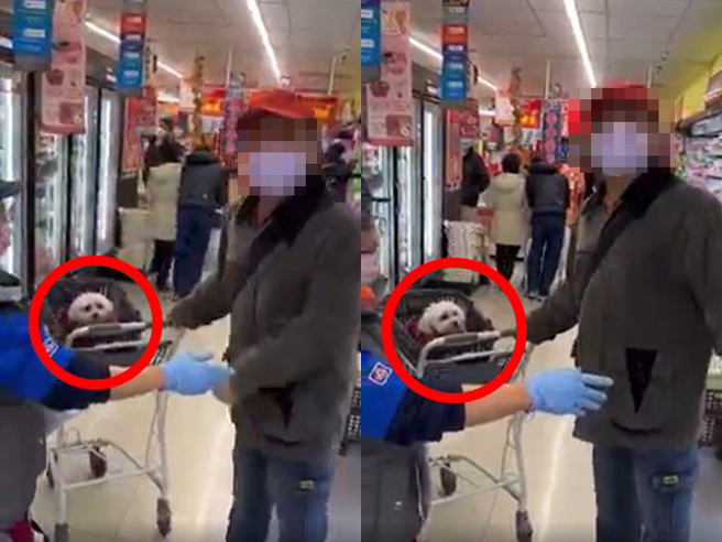 男子把爱犬放在购物提篮内，有其他民眾看不下去劝阻，双方爆发口角、互骂三字经，该男子还比出YA手势要其他人拍他。（翻摄自爆料公社）