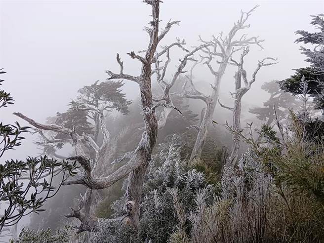 北大武山景致优美，让不少山友跃跃欲试，却也因装备不足，发生大小意外。(摘自北大武山资讯站)