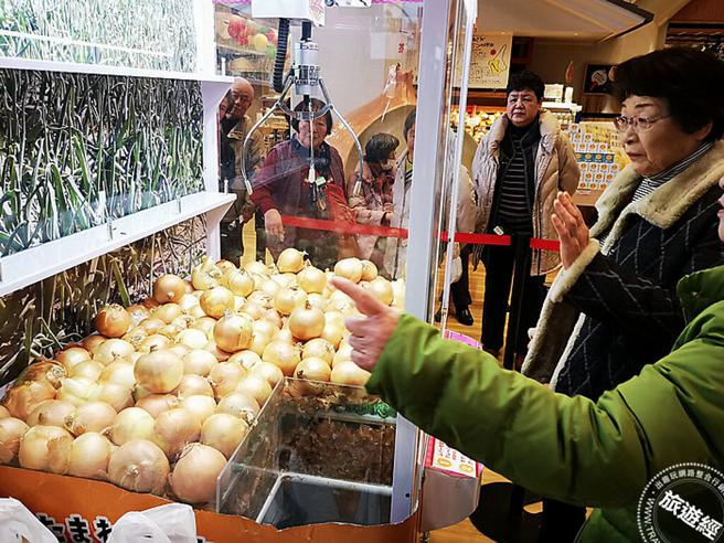 在大呜桥纪念馆中就有满满的洋葱，甚至有洋葱抓娃娃机(摄影：洪书瑱)
