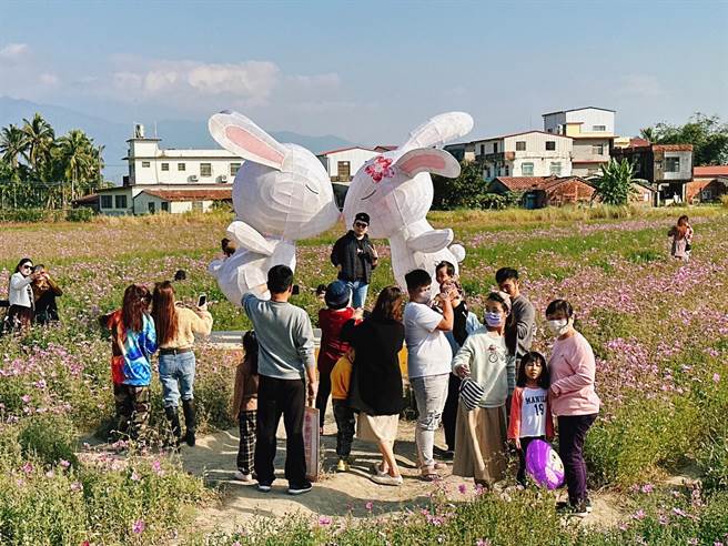 今年花海规画6大灿烂花区搭配「幸福兔YOU」等装置艺术亮点，成功吸引游客前来拍张独家美照。（林雅惠摄）