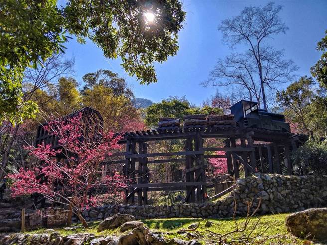 八仙山佳保台火车意象，搭配樱花美景，景致宜人令人如痴如醉！(八仙山国家森林游乐区提供)
