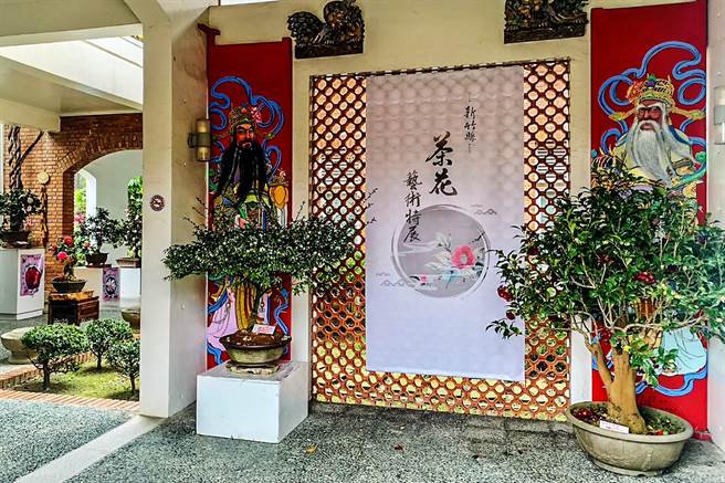 新竹县文化局开春展，新竹县茶花园艺研究学会会员联展在美术馆艺文走廊及户外庭园展出70盆茶花。（罗浚滨摄）