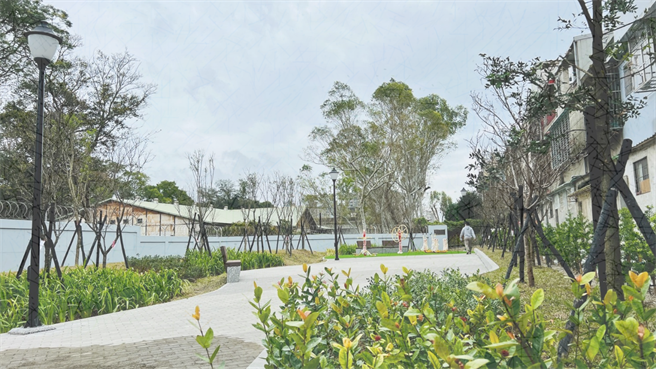 平镇区涌丰段27-1地号简易绿美化樱花休憩广场。（工务局提供／蔡明亘桃园传真）