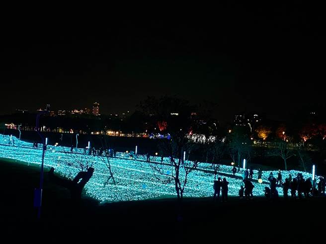 光之流域燈區旁的「星光熠熠」藍色燈海十分浪漫，廣受民眾喜愛。（張亦惠攝）