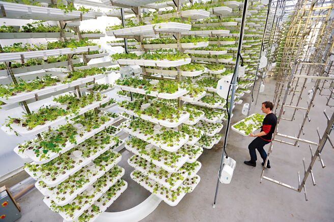 投资人可寻找努力透过研发或营运来改善生物多样性的同级最佳企业，例如能缓解变更土地用途带来负面影响的农耕方式和都市垂直农法等创新趋势。图／新华社