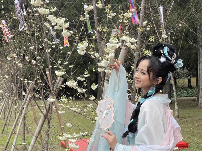 九族文化村举行九族樱花祭6日登场，目前雪樱2成，业者首度试办汉服体验快闪店，19日若着汉服古装享2人1000元优惠价。（杨静茹摄）