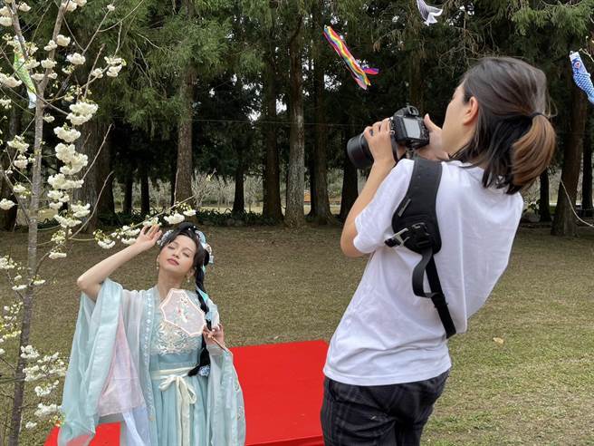 19日九族文化村栽种5000多棵樱花，每年花季累计吸引逾30万人入园赏花、拍照。（杨静茹摄）