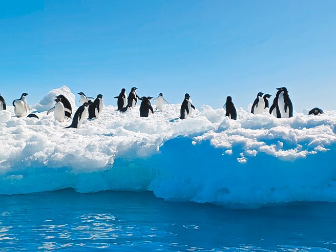 「日月合朔號」帶旅客登陸南極探險，元本旅遊包船將在今年耶誕檔期啟程。（元本旅遊提供）