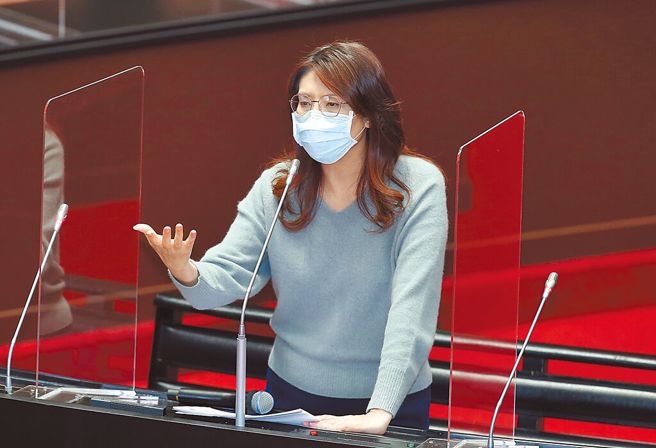 国民党立委郑丽文。（资料照片）