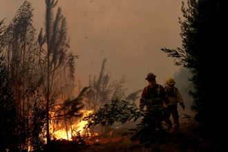 智利熱浪引發251處森林大火 受害者升至22死554傷