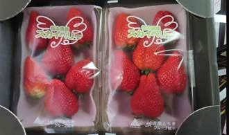 日本申請草莓農藥解禁 專家：應進行風險評估