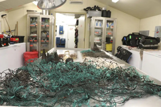 生態悲歌 擱淺抹香鯨胃裡有大量漁網和塑膠袋