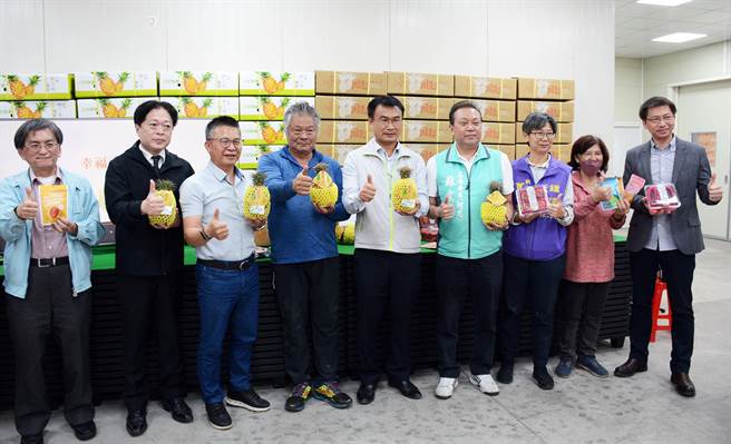 凤梨即将进入盛产期，农委会主委陈吉仲南下屏东关心产地产销情况。(林和生摄)