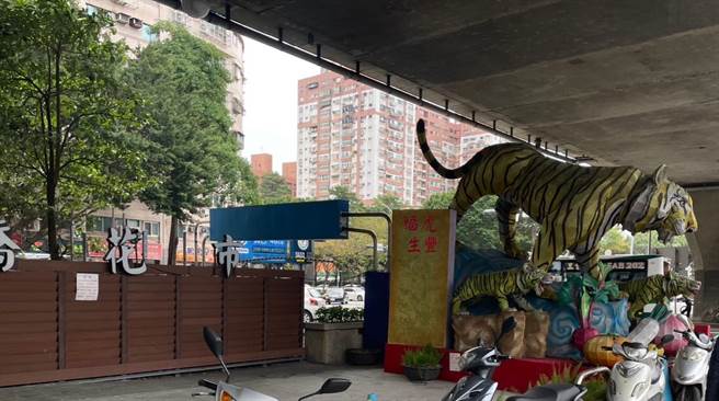 板桥花市摆放的花灯仍是「虎」年花灯。（民眾江小姐提供）