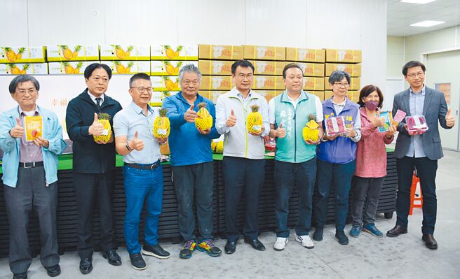 凤梨即将进入盛产期，农委会强调，在现有外销基础下，盼继续为农民拓展通路，提高收益。（林和生摄）