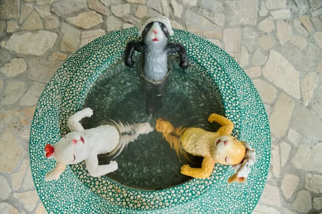 最受歡迎的就是這三隻眼睛舒服得都瞇起來的兔兔了！（圖/ 行遍天下）