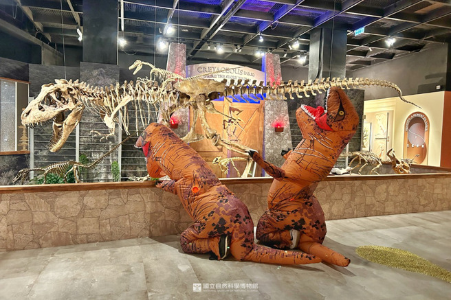 小暴龍跪在暴龍標本前的逗趣模樣，掀起網路熱烈討論。（圖／翻攝自科博館臉書）