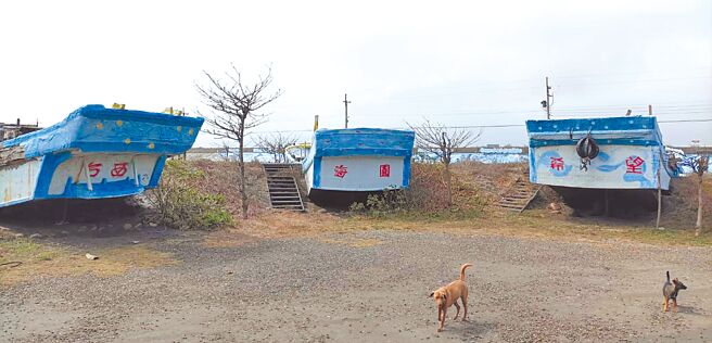 雲林縣台西鄉海口生活館無人經營，淪為流浪狗聚集點。（張朝欣攝）