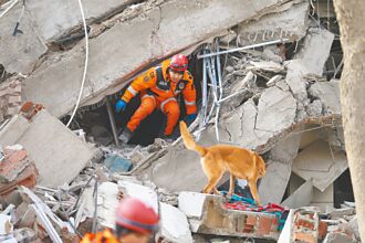 土敘邊境強震 死亡逾1.1萬人 台灣第二梯次搜救隊抵達