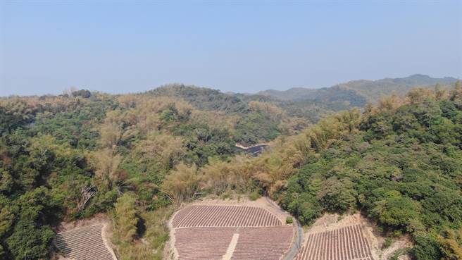 受到弱北风影响，中北部污染物随风南移，高雄位于下风处，且在浓雾影响、风速弱、湿度高的情况下，扩散条件较差，使污染物容易累积，导致高雄空气品质不良。（高市府环保局提供／洪浩轩高雄传真）