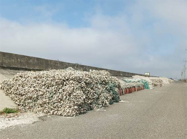 云林县沿海「牡蛎壳山」危及行车安全，县府将劝导移至暂置场。（张朝欣摄）