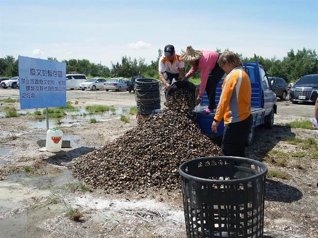 云林县政府在台西乡设有「文蛤壳暂置场」，将劝导蚵农把牡蛎壳移至暂置场。（本报资料照片）