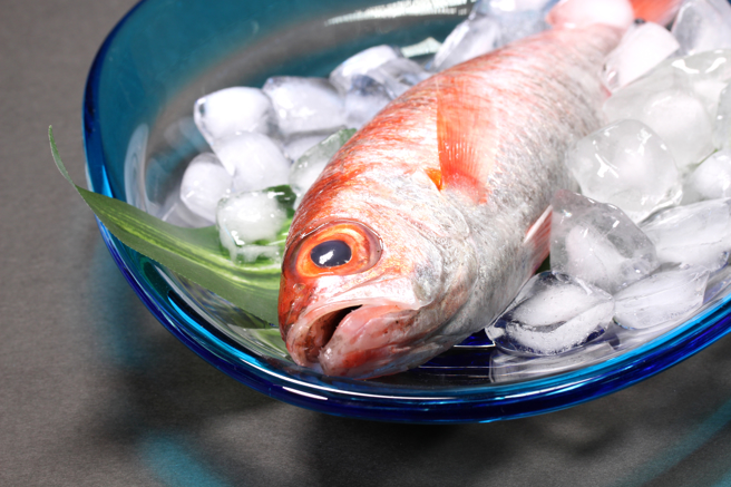 台湾的「乌喉」，并不是日本俗称的「喉黑」。日本「喉黑」正名是アカムツ（Doederleinia berycoides），汉字「赤鯥」，此鱼是红色的，但喉是黑色的，故称「喉黑」，在台湾则称之「红喉」。（图/ shutterstock）