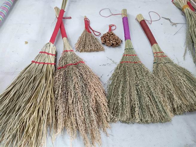 除了高粱以外，也可以利用水沙草、芦苇等植物制作扫帚。（潘虹恩摄）