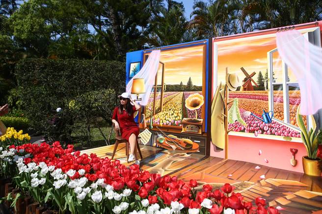 2023士林官邸郁金香展，郁金香处处盛开，民眾忙着捕捉美丽的郁金香与公园内的装置艺术。（邓博仁摄）